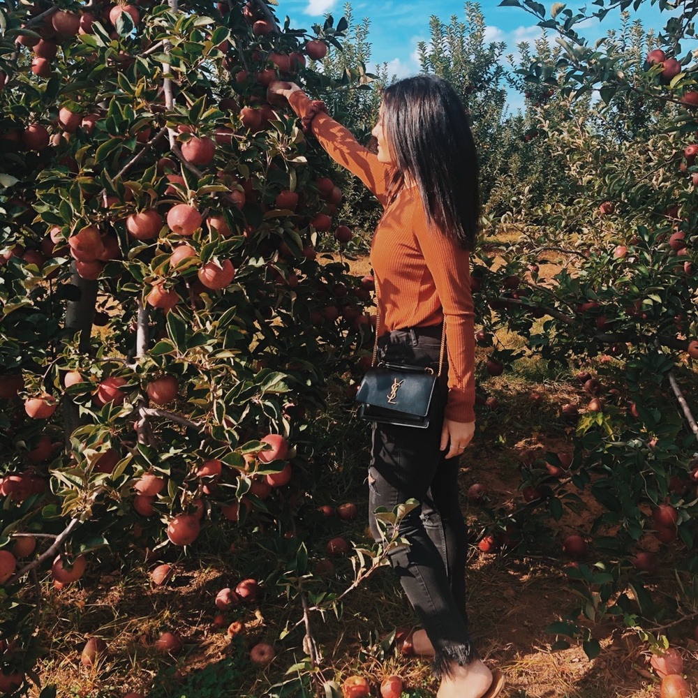 Meet your Posher, Camilia